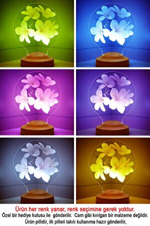 Sevgilambası Seni Seviyorum Plumeria Çiçeği Hediyesi 3d Led Lamba