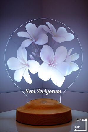 Sevgilambası Seni Seviyorum Plumeria Çiçeği Hediyesi 3d Led Lamba