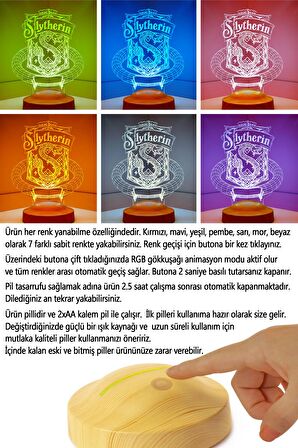 Sevgilambası 3D Harry Potter Hediyesi Hogwarts Slytherin Binası Led Lamba