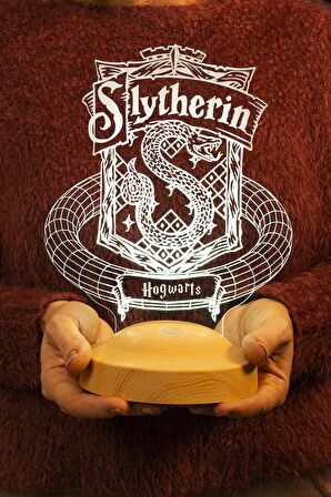 Sevgilambası 3D Harry Potter Hediyesi Hogwarts Slytherin Binası Led Lamba