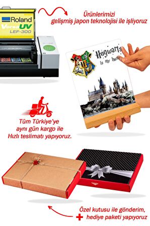 Sevgilambası Harry Potter Hogwarts Hediyesi Şeffaf Tablo