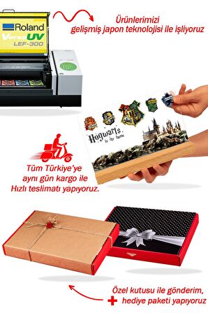 Sevgilambası Harry Potter Hediyesi Hogwarts Binaları Hediye Paketli Şeffaf Çerçeve