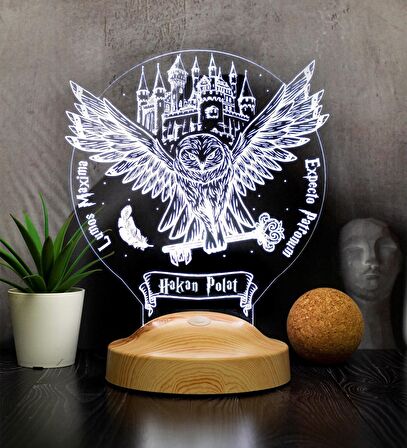 Hogwarts Hedwig Kişiye Özel 3D Led Lamba, Hediye Baykuş Gece Lambası, Harry Potter Hediyelik 