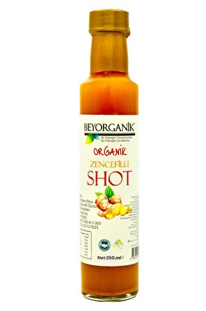 Organik Zencefilli Shot 250ml