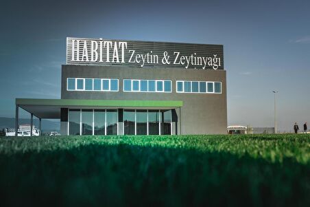 Habitat Edremit Çizik Yeşil Zeytin (291-320 KB S) 850 Gr Cam Kavanoz