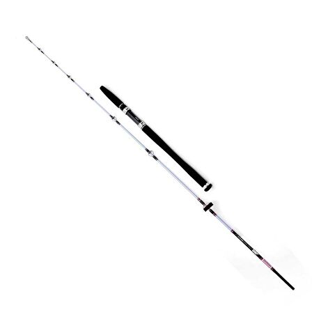 Daiwa Exceler 1,98m 7-28gr 2p Kamış