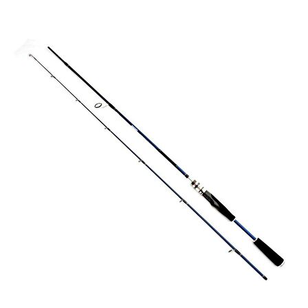 Daiwa İnfeet Seabass 2,29 Cm 14-56 Gr 2p Kamış