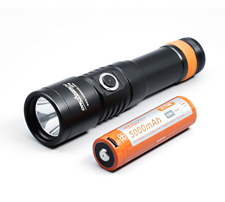 Sea Horse Su Altı Feneri D710