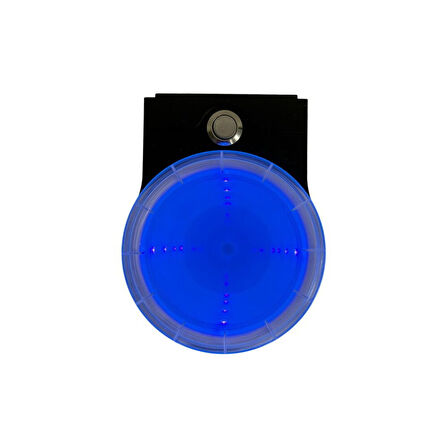 Sea Horse Uv Işıklı  Bardaklık