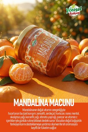 Yöresel Bahçem Bodrum Mandalina Macunu