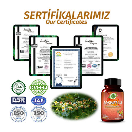 Gökçek Şifa Akgünlük (Boswellia) Kapsül