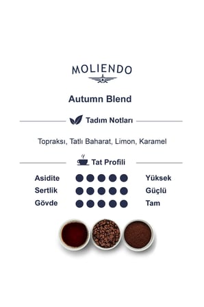 Moliendo Autumn Blend Kahve (Çekirdek Kahve) 250 g
