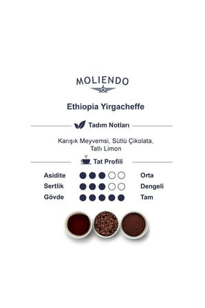 Moliendo Ethiopia Yirgacheffe Pratik Filtre Kahve 10x10 G.