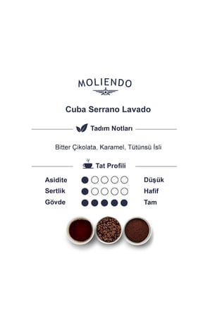 Moliendo Cuba Serrano Lavado Pratik Filtre Kahve 10x10 G.