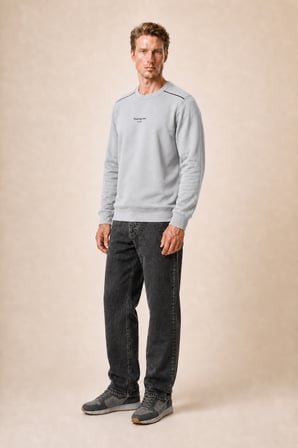 Qwen Bisiklet Yaka Regular Fit Kışlık Sweatshirt Gri