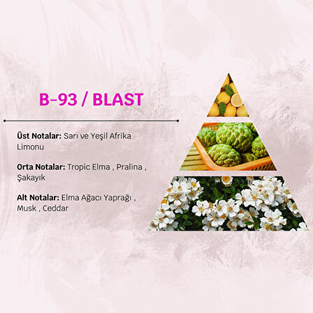 David Walker  BLAST B93 100ML  Kadın Parfüm