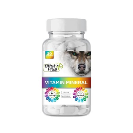BPN Best Plus Nutrition Multivitamin ve Mineral Kompleks 60 Tablet