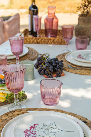 Splendid 4'lü Su Bardağı Seti Mürdüm 290 cc