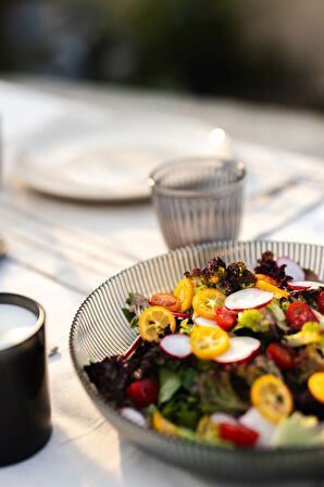 Splendid Cam 2'li Salata Kasesi Seti Füme 25 cm - 30 cm