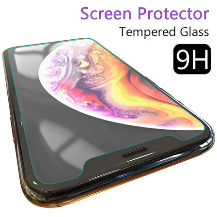 Microsonic Apple Uyumlu iPhone XS (5.8'') Temperli Cam Ekran koruyucu Kırılmaz film