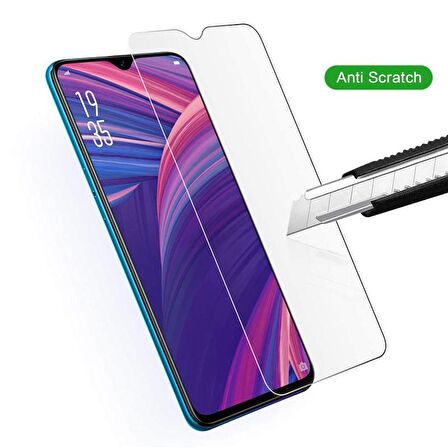 Microsonic Oppo RX17 Pro Temperli Cam Ekran Koruyucu