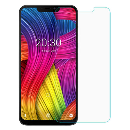 Microsonic Vestel Venüs Z30 Temperli Cam Ekran Koruyucu