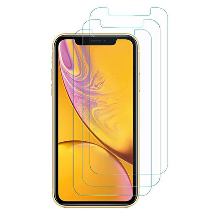 Microsonic Apple Uyumlu iPhone XR Ekran Koruyucu Nano Cam (3'lü Paket)