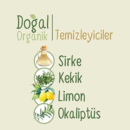 Sleepy Doğal Organik Pamuklu Cep Mendilli 300 Yaprak (20X15)