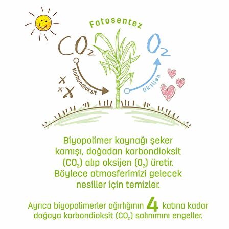 Bio Natural Islak Havlu 24X40 (960 Yaprak)