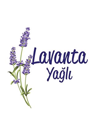 Sleepy Gece Külotu Lavanta Yağlı 3 Beden 4-10 Kg 34'lü