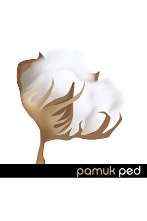 Ladyfit Pamuk Ped Mega Gece 36 Ped