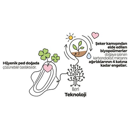 Sleepy Ecologic Premium Plus Gece Hijyenik Ped 18 Adet