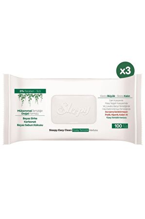 Easy Clean Yüzey Temizlik Havlusu 3x100 (300 Yaprak)