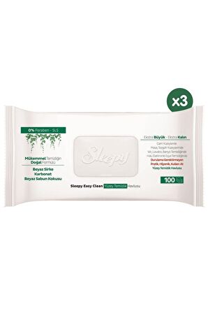 Easy Clean Yüzey Temizlik Havlusu 3x100 (300 Yaprak)