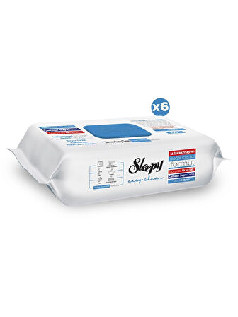 Sleepy Easy Clean Çamasır Suyu Katkılı Yüzey Temizlik Havlusu&Mendili 6x100 (600 Yaprak)