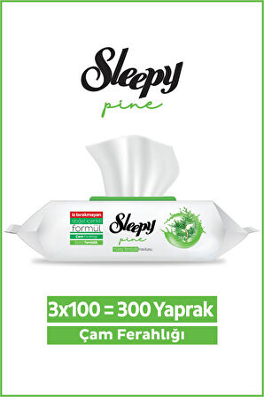 Sleepy Pine Yüzey Temizlik Havlusu&Mendili Çam Ferahlığı 3x100 (300 Yaprak)