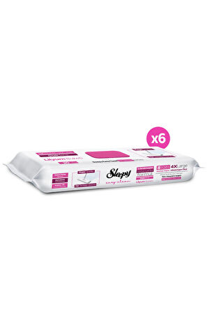 Sleepy Easy Clean Lilyum Buketi Mopa Uyumlu Yer Temizlik Havlusu&Mendili 6x20 (120 Yaprak)