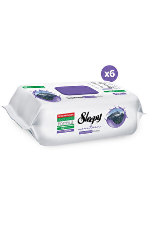 Sleepy Mountain Yüzey Temizlik Havlusu&Mendili Dağ Esintisi 6x100 (600 Yaprak)