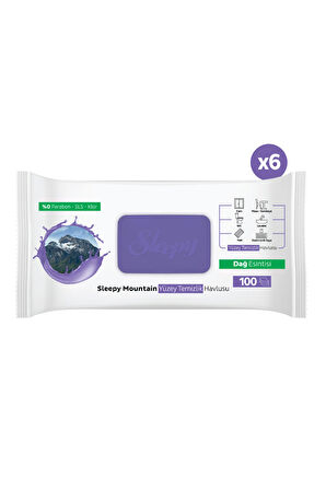 Sleepy Mountain Yüzey Temizlik Havlusu&Mendili Dağ Esintisi 6x100 (600 Yaprak)