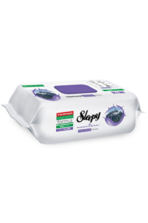 Sleepy Mountain Yüzey Temizlik Havlusu&Mendili Dağ Esintisi 100 Yaprak