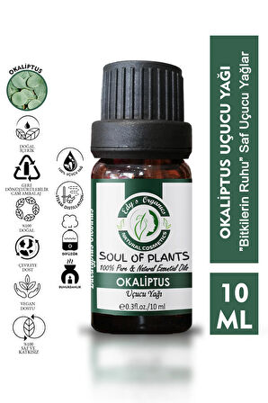 Okaliptus Uçucu Yağı(10 ml)