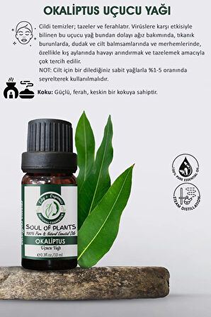 Okaliptus Uçucu Yağı(10 ml)