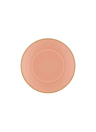 The Mia Basic Kase 6 Lı Set Somon Pembe - 15 cm