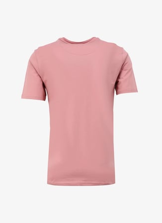 Lee Cooper Yuvarlak Yaka Somon Erkek T-Shirt 242 LCM 242015 GAEL SOMON