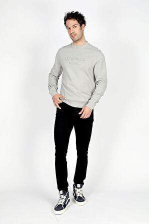 Shawn Erkek O Yaka Sweatshirt Buz Gri