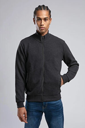 Dreon Erkek Dik Yaka Fermuarlı Sweatshirt Antrasit