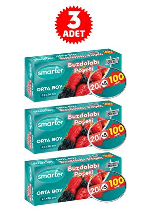 Smarter 3x100'lü Orta Boy Buzdolabı Poşeti