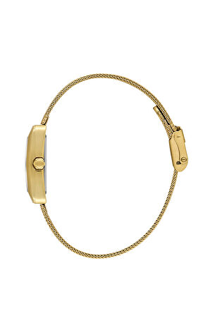 Daniel Klein DK.1.13928-4 Kadın Kol Saati