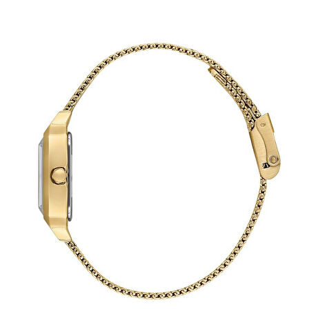 Daniel Klein DKE.1.10791-3 Kadın Kol Saati