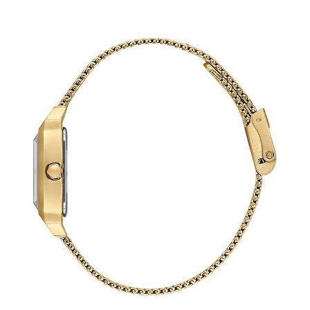 Daniel Klein DKE.1.10791-4 Kadın Kol Saati